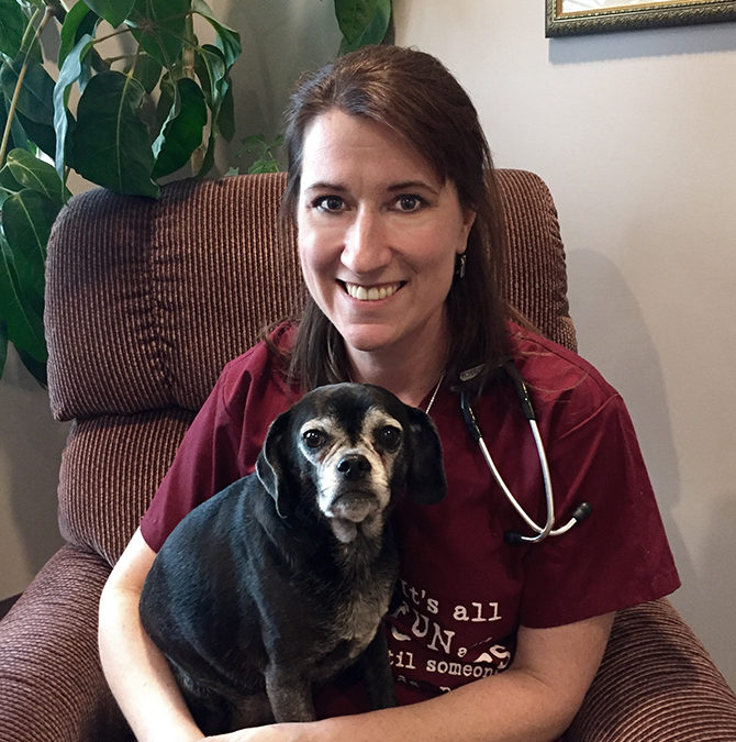 The Traveling Vet of Louisville