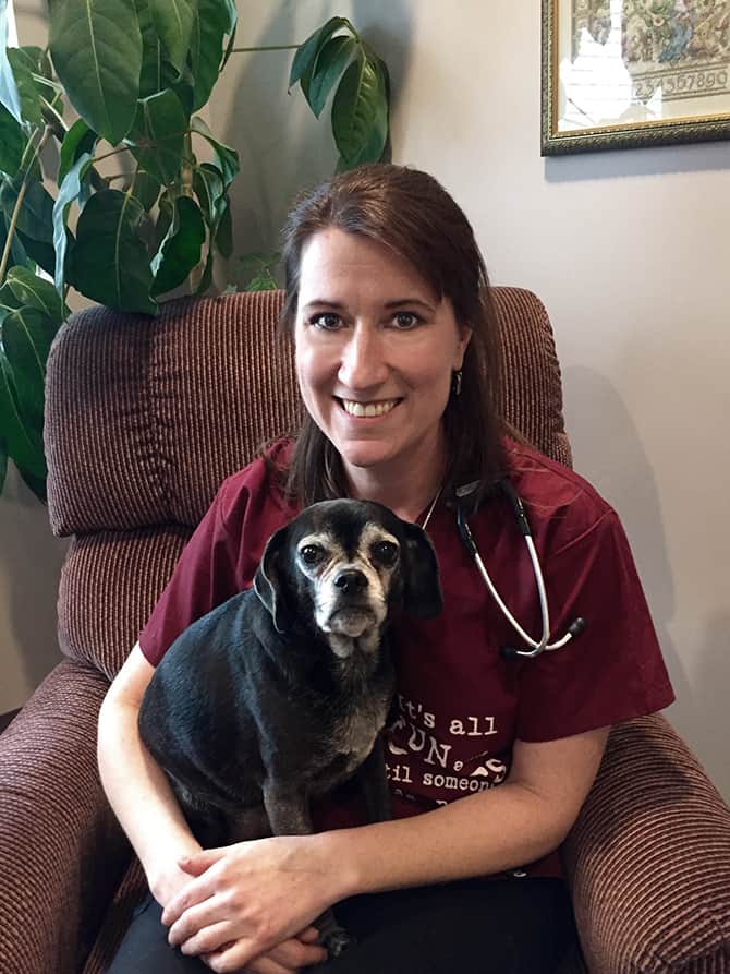 The Traveling Vet of Louisville