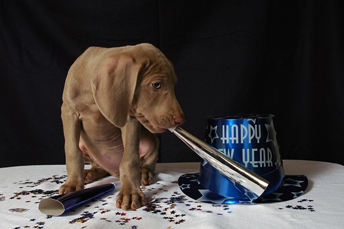 What Are Your Resolutions?