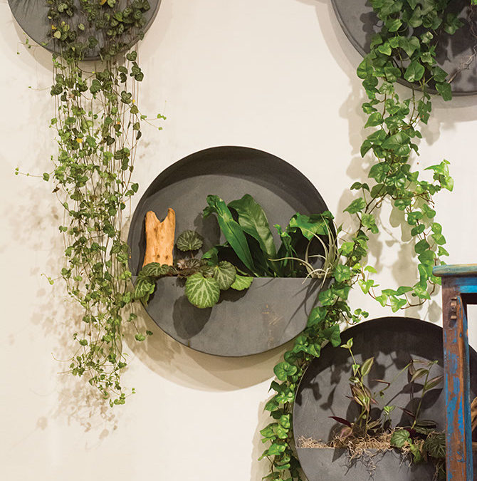 Gifts for Those Who Love Nature