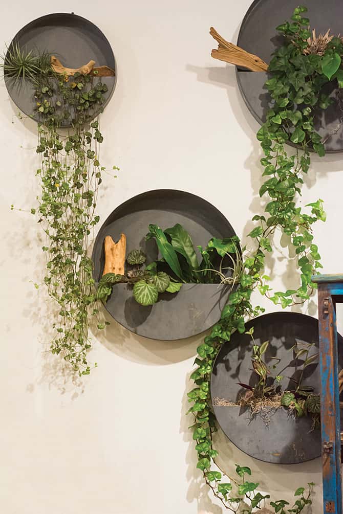 Gifts for Those Who Love Nature