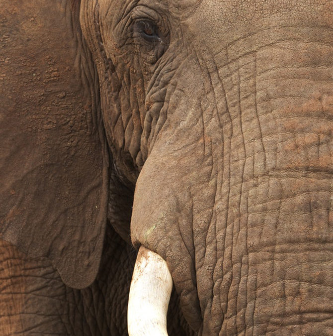 Win an Indianapolis Family Fun Package!