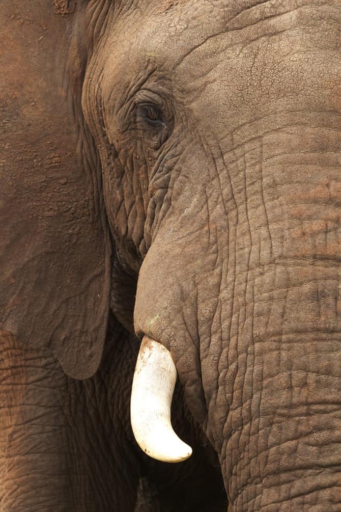 Win an Indianapolis Family Fun Package!