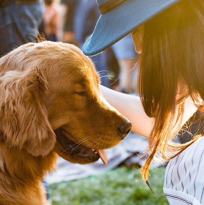 What To Do This Weekend — August 9-12