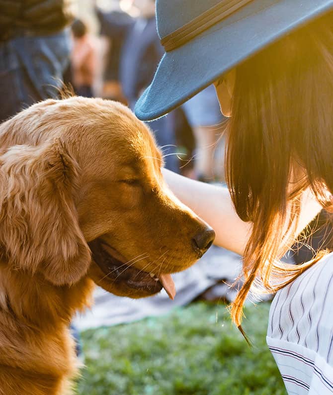 What To Do This Weekend — August 9-12