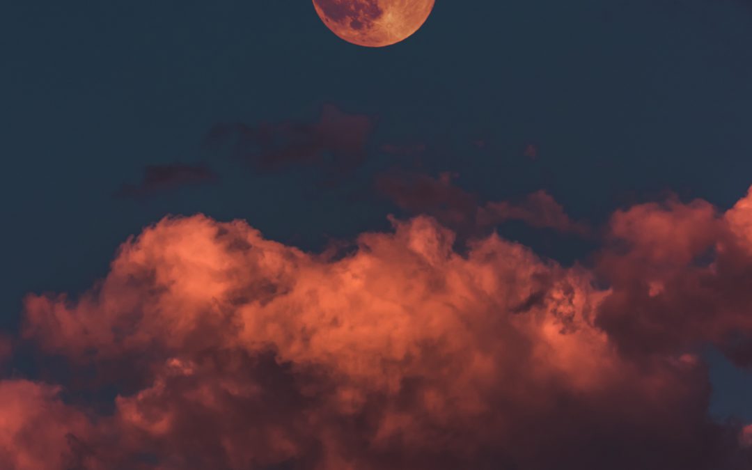 Win Tickets for Witches Night Out!