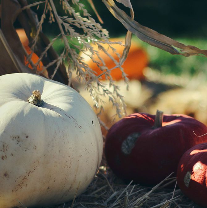 What To Do This Weekend — Sept 27-30