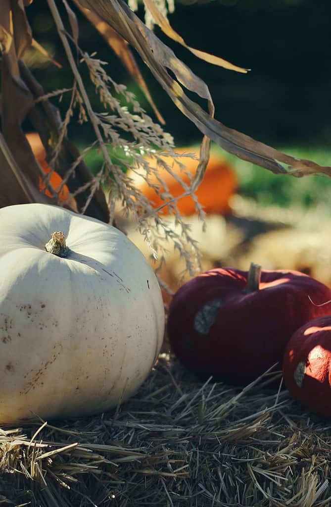 What To Do This Weekend — Sept 27-30