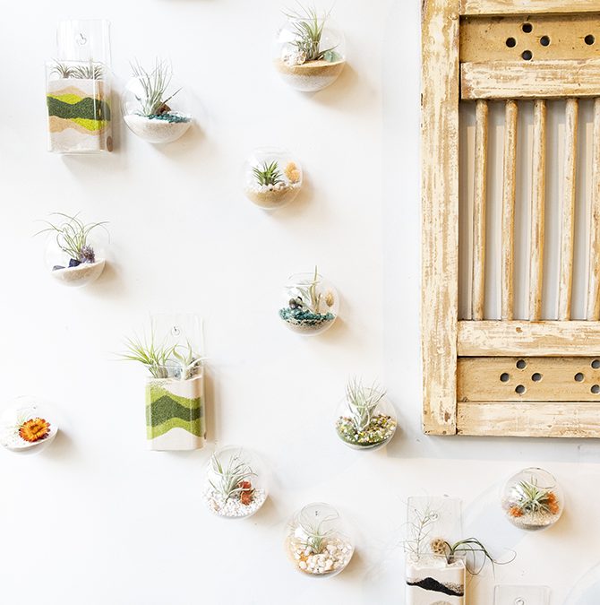 Living Beautifully by Bringing the Natural World Inside