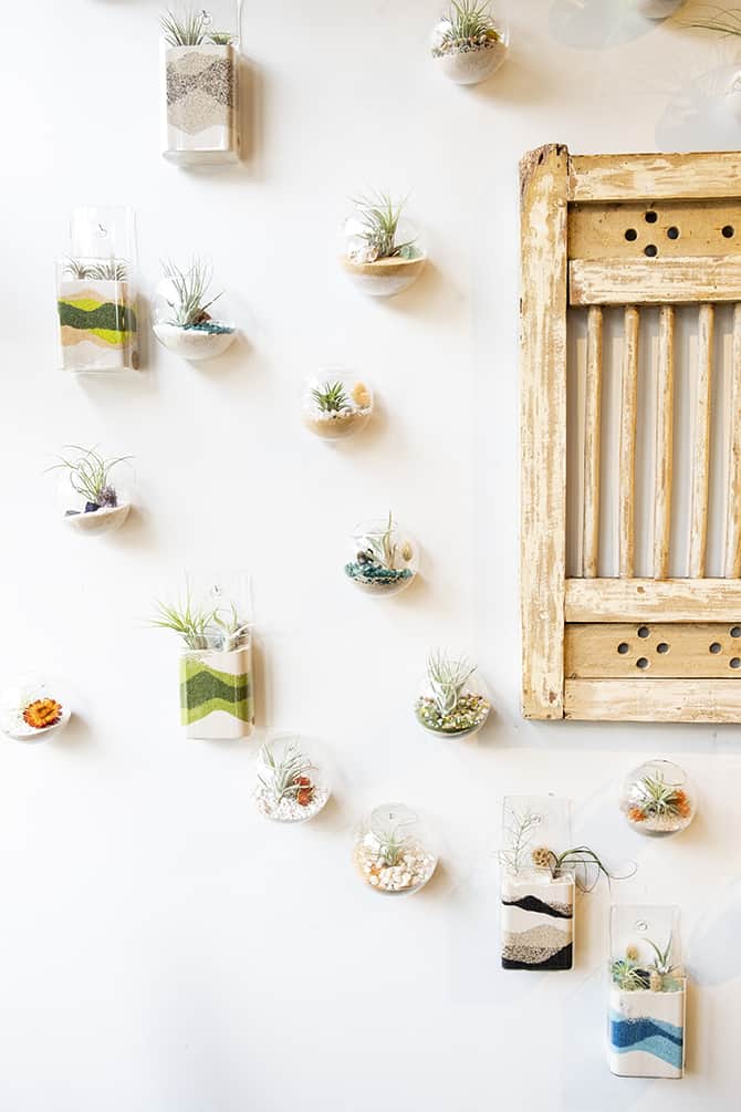 Living Beautifully by Bringing the Natural World Inside