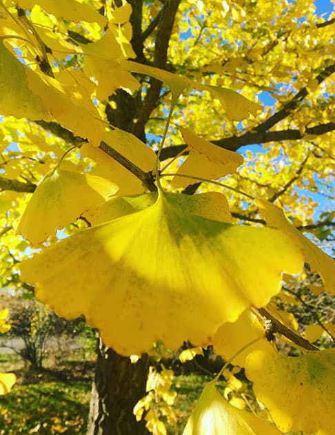 What To Do This Weekend