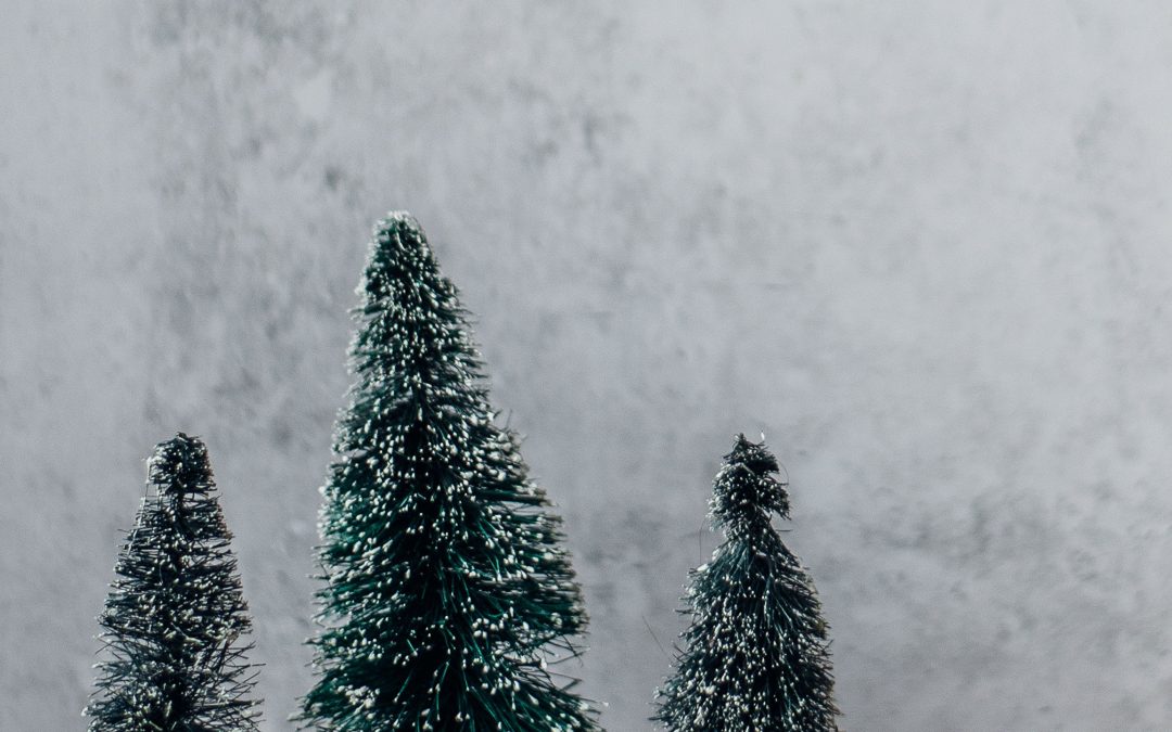 What To Do This Weekend