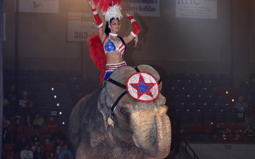 Win Family Four Pack for the Kosair Shrine Circus