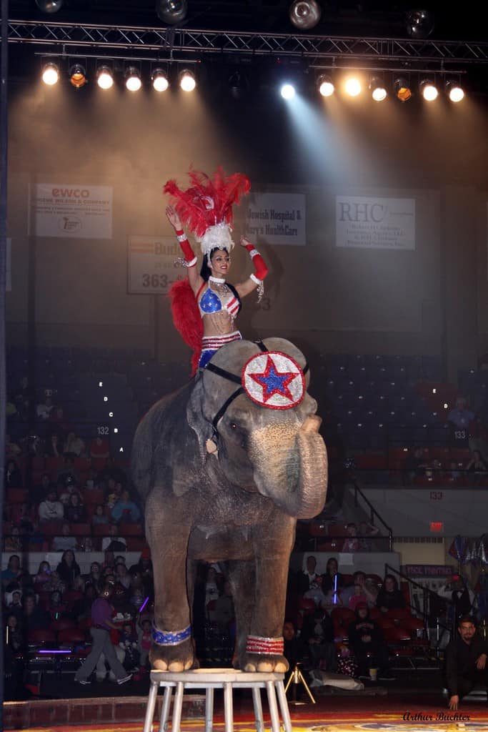 Win Family Four Pack for the Kosair Shrine Circus