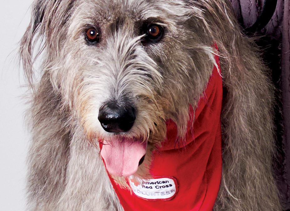 Share Your Pet’s Love