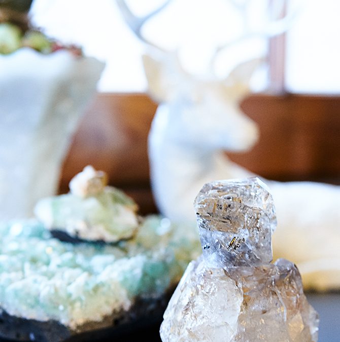 The Urban Herbal Apothecary