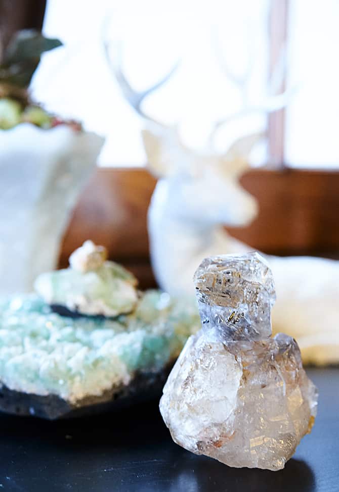 The Urban Herbal Apothecary