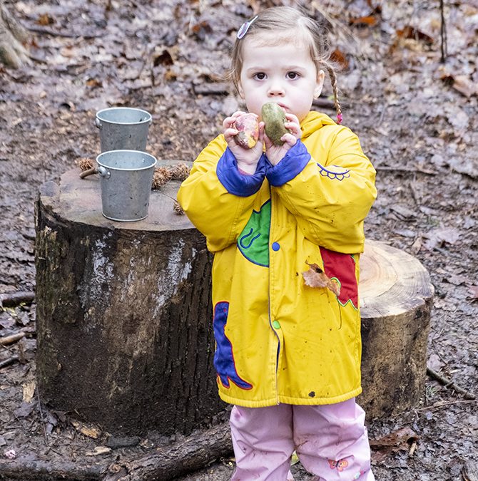 What Do You Learn in the Forest?