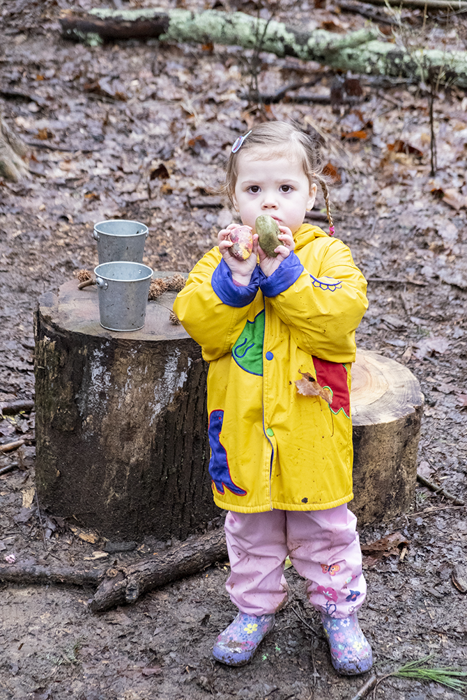 What Do You Learn in the Forest?
