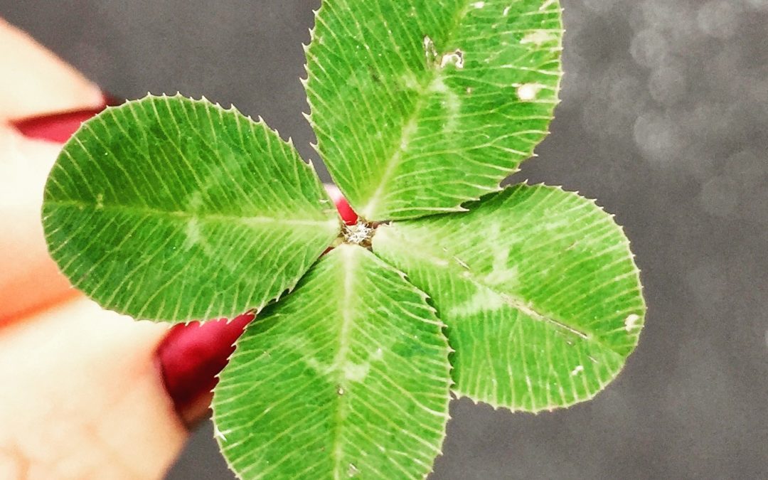 Happy St. Patrick’s Day!