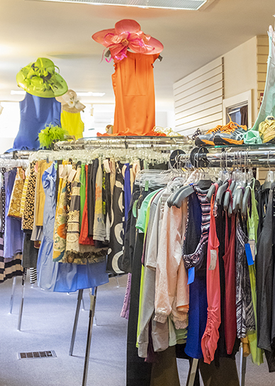 Win a Sassy Fox Gift Card