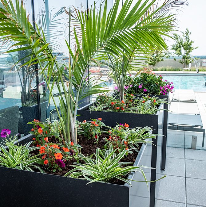 Outdoor Spaces and an Amazing View