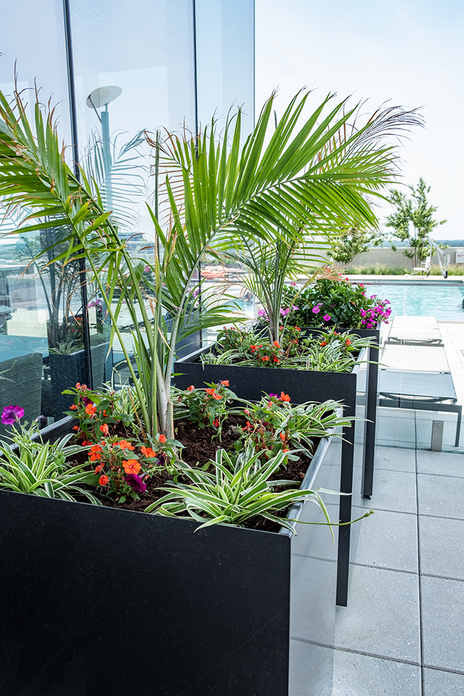 Outdoor Spaces and an Amazing View