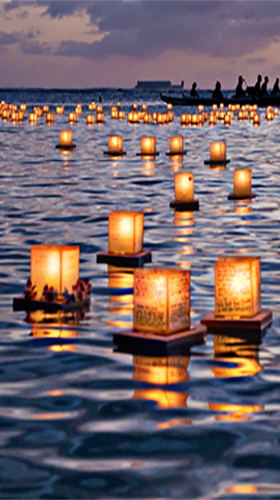 What To Do This Weekend