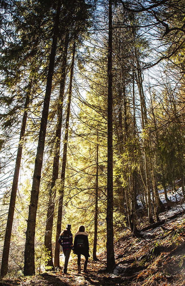 What To Do This Weekend