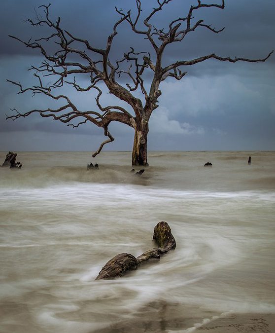 Here’s Another Place to be This Weekend