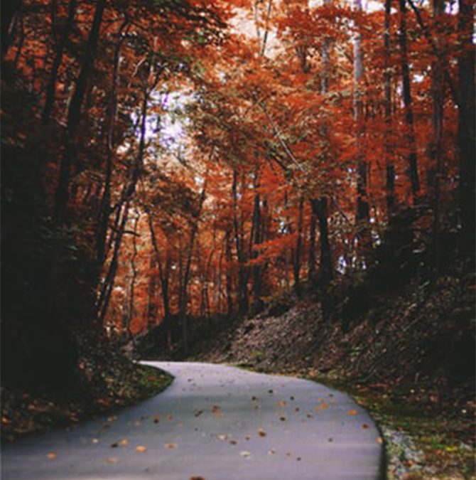 What To Do This Weekend