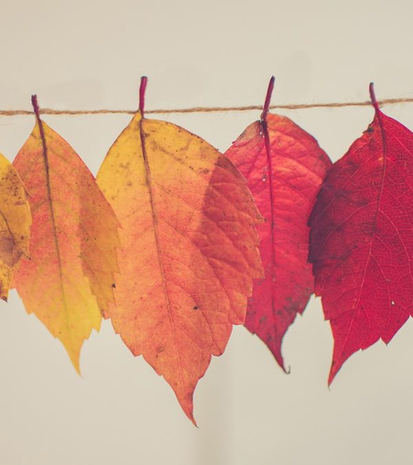 How to Elevate Your Status at Work