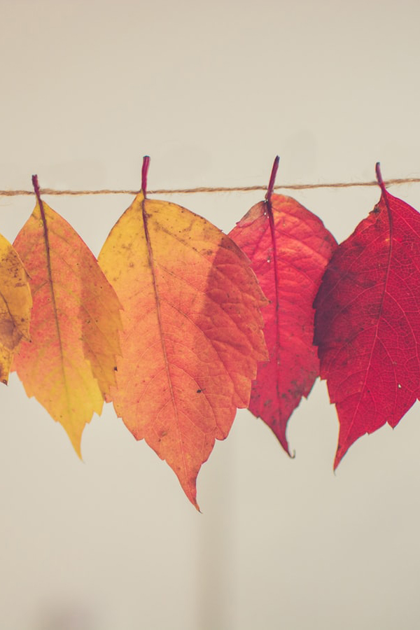 How to Elevate Your Status at Work