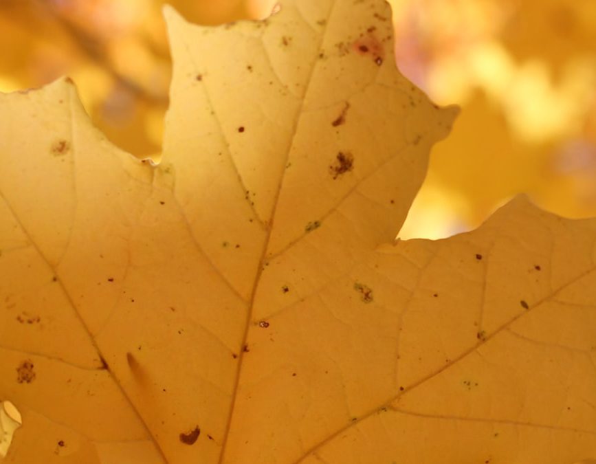 Simple Ways to Get Hired