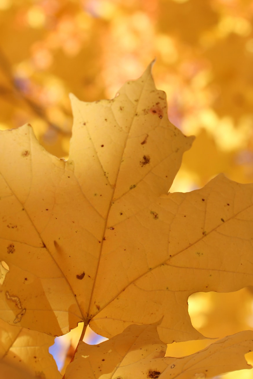 Simple Ways to Get Hired