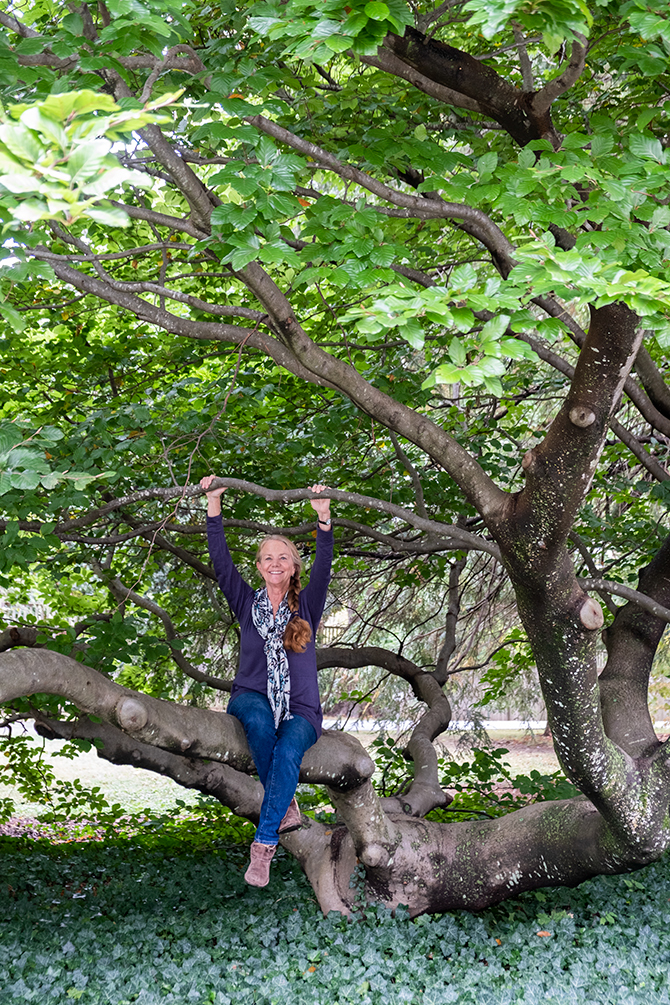 Healing the Air: Cindi Sullivan