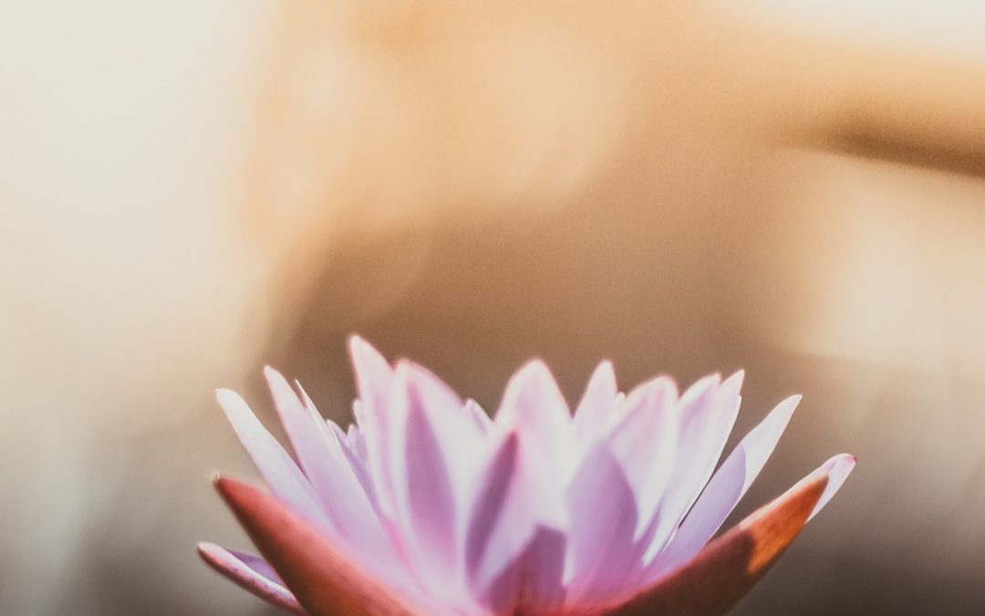 Win a Rejuvenating Giveaway from Lotus Counseling and Wellness