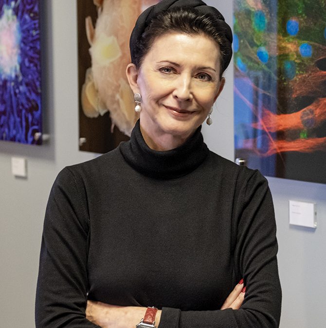 Gifts to Our Community: The National Stem Cell Foundation