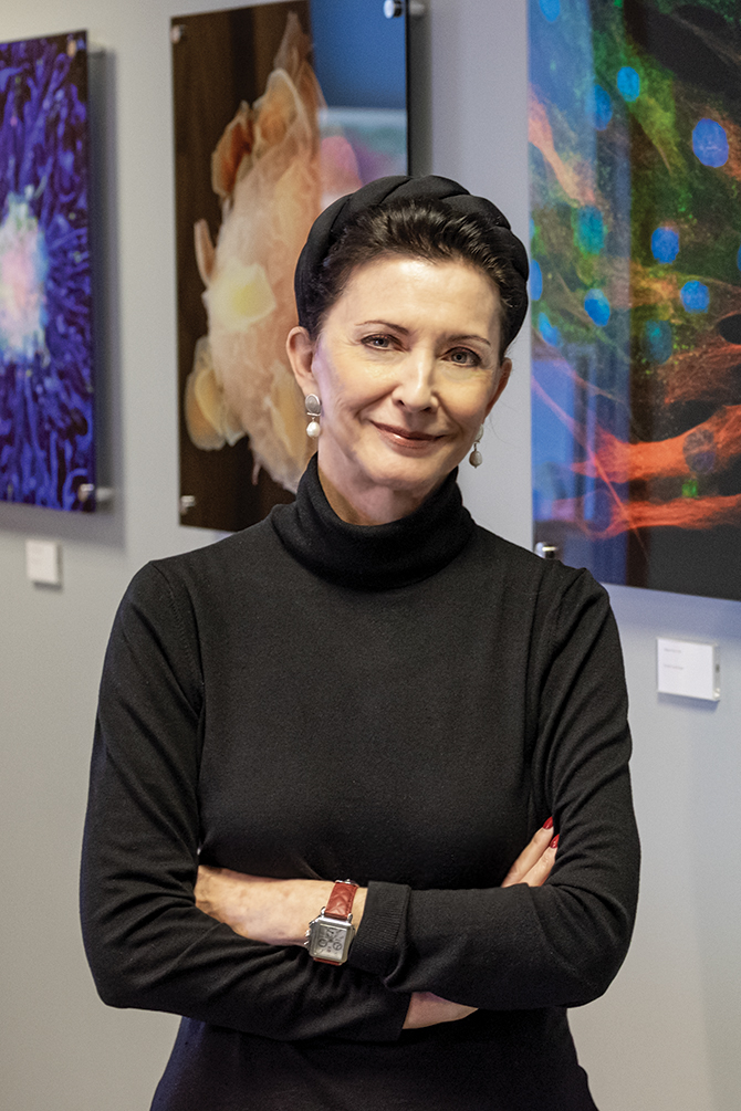 Gifts to Our Community: The National Stem Cell Foundation