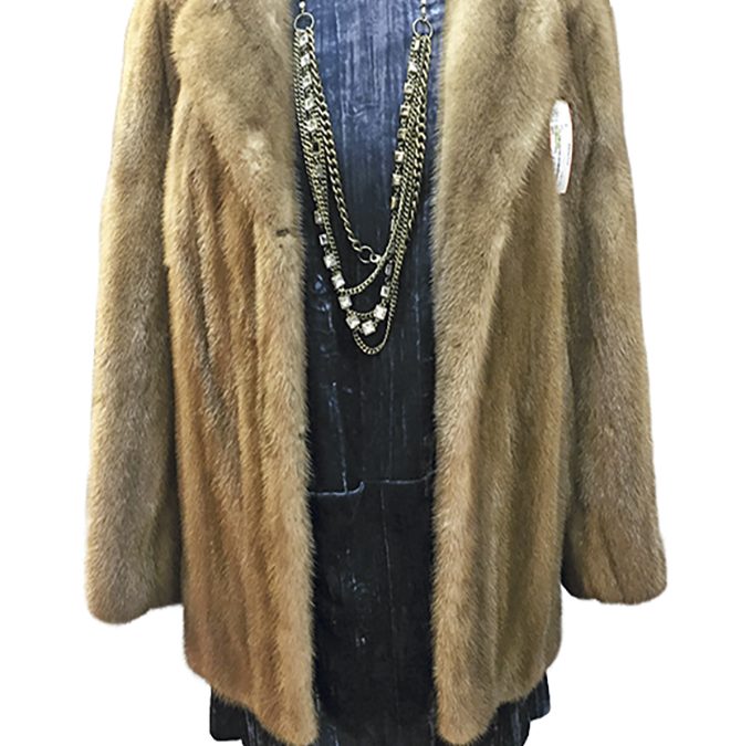 Win a Sassy Fox Gift Card