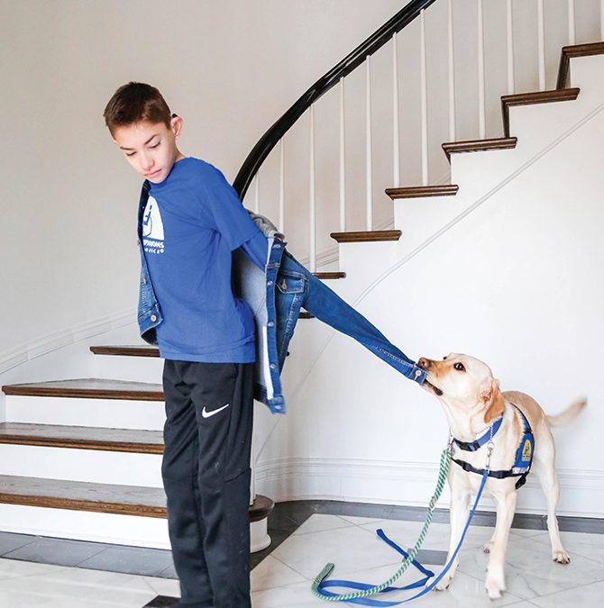 Dogs That Work – Colt and Wink