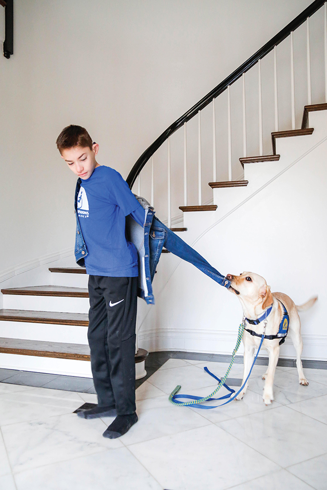 Dogs That Work – Colt and Wink