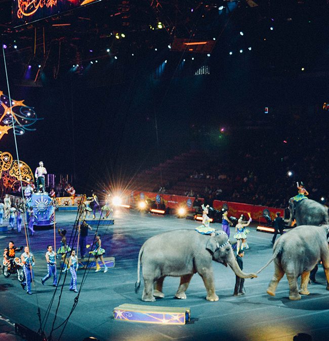 What To Do This Weekend