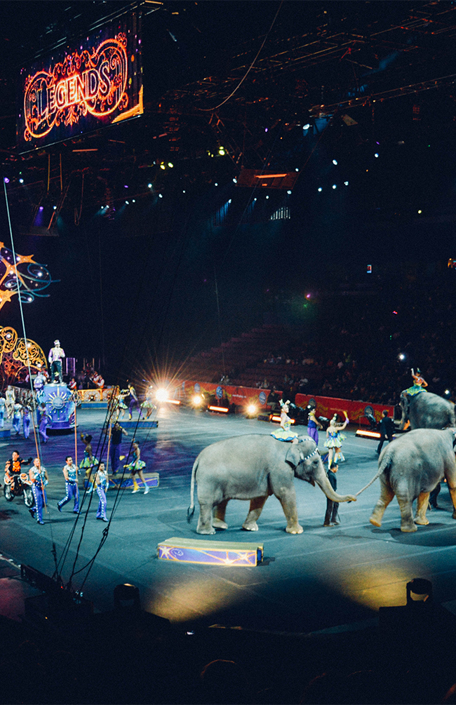 What To Do This Weekend