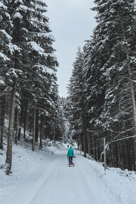 What To Do This Weekend