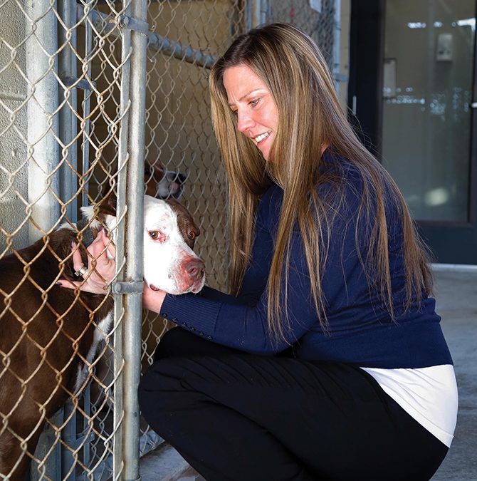 An Angel Among The Animals