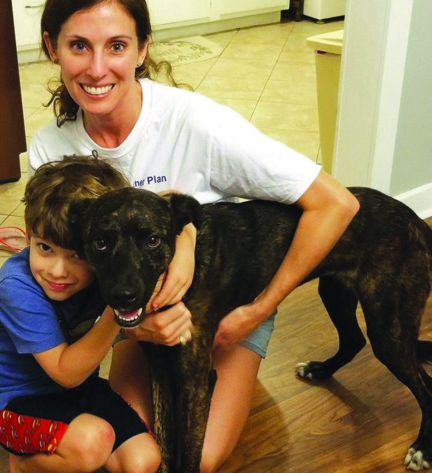 The Paw & Feather Plan