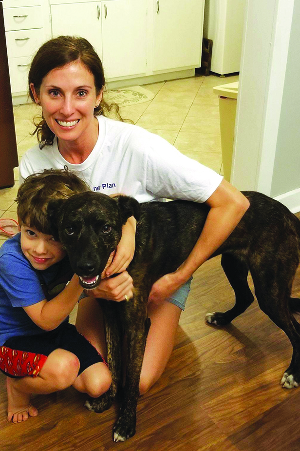 The Paw & Feather Plan