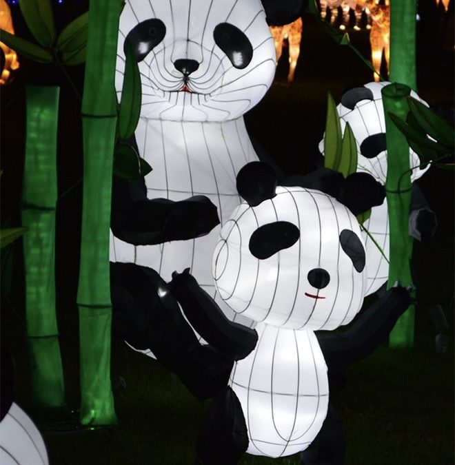 What To Do This Weekend