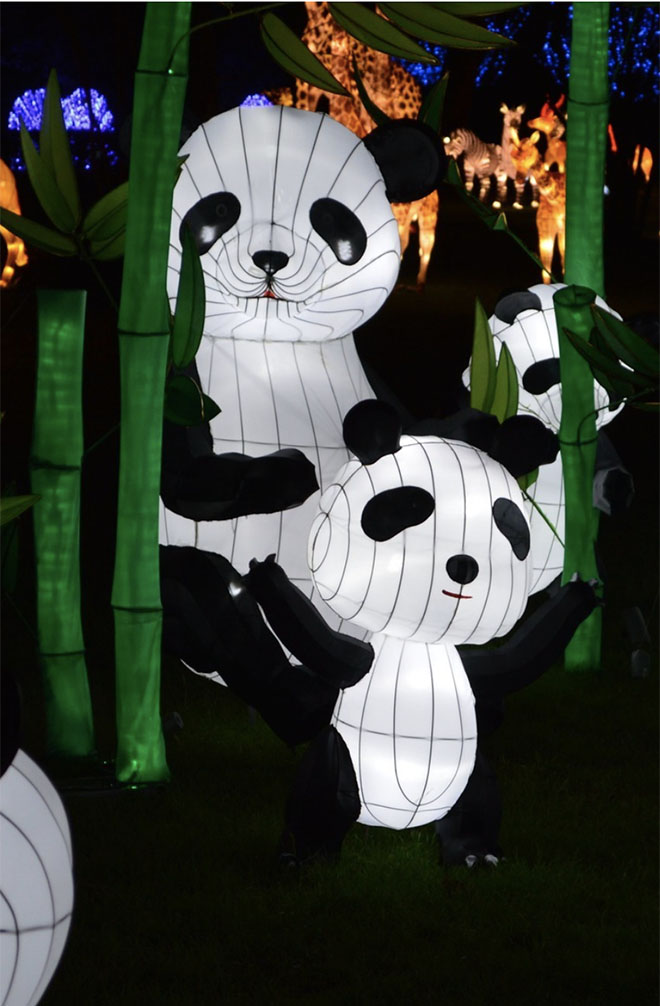 What To Do This Weekend